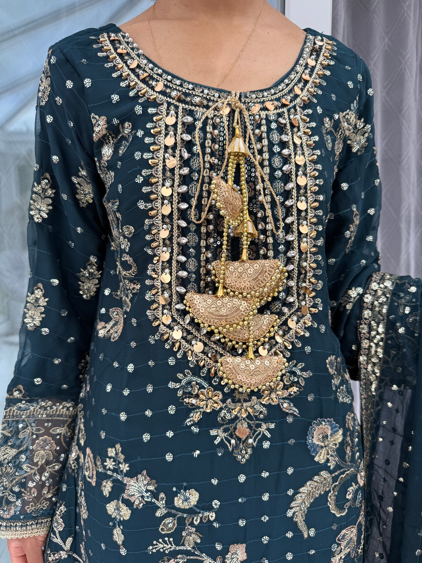 QARINA - Embroidered chiffon kameez with plazo