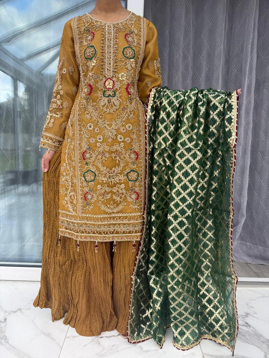 ESHA - Embroidered organza outfit with crushed Sharara