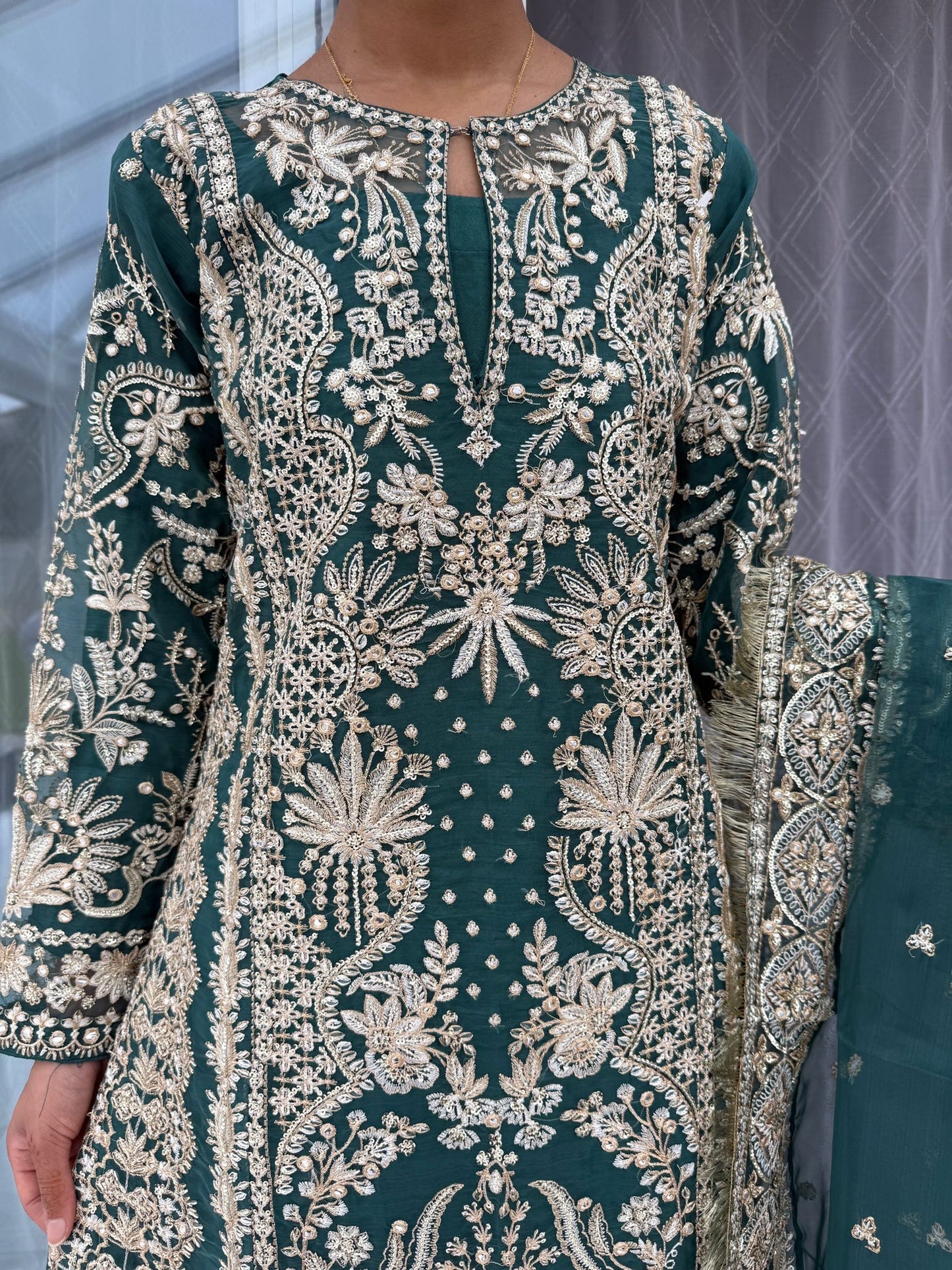 MEHFIL - Embroidered organza outfit with plazo