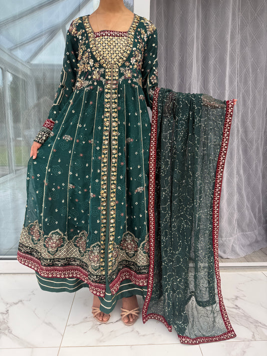 RANI GREEN - Embroidered double layered partywear dress