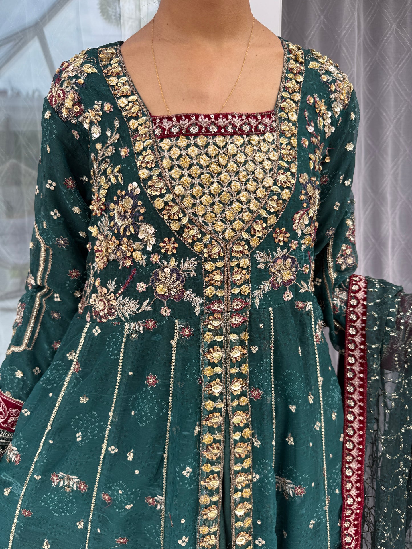RANI GREEN - Embroidered double layered partywear dress